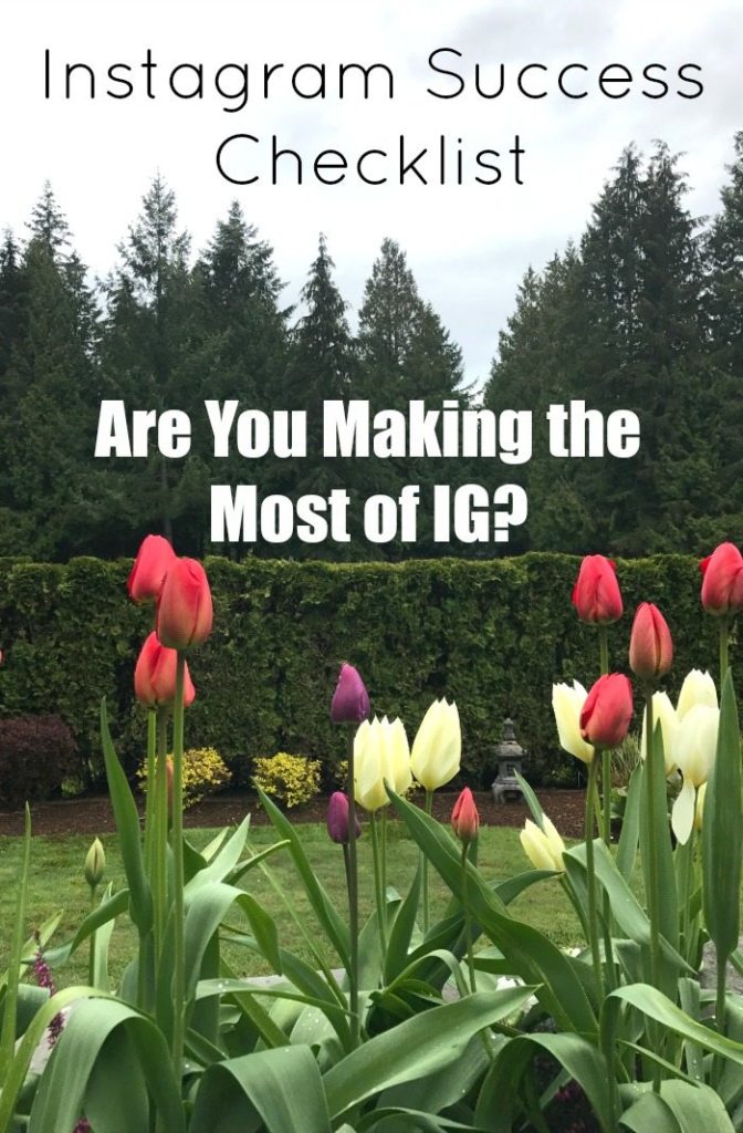 Instagram questionnaire checklist for success