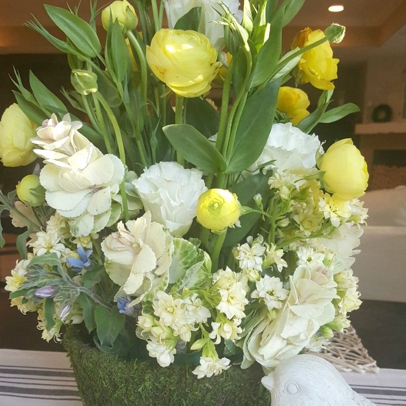 Flower Arranging 101 | Overcoming Fears