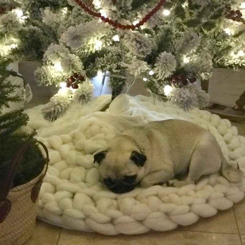 Holidays at Home with sleepy puppies under the tree