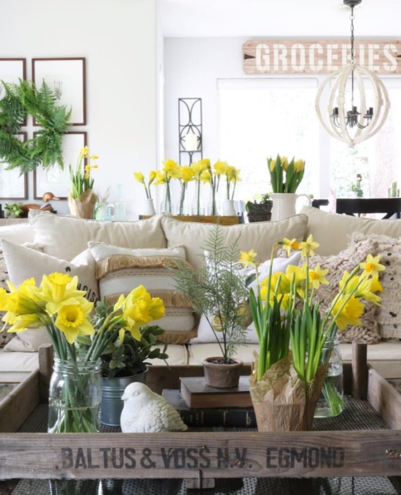 our 8 best spring