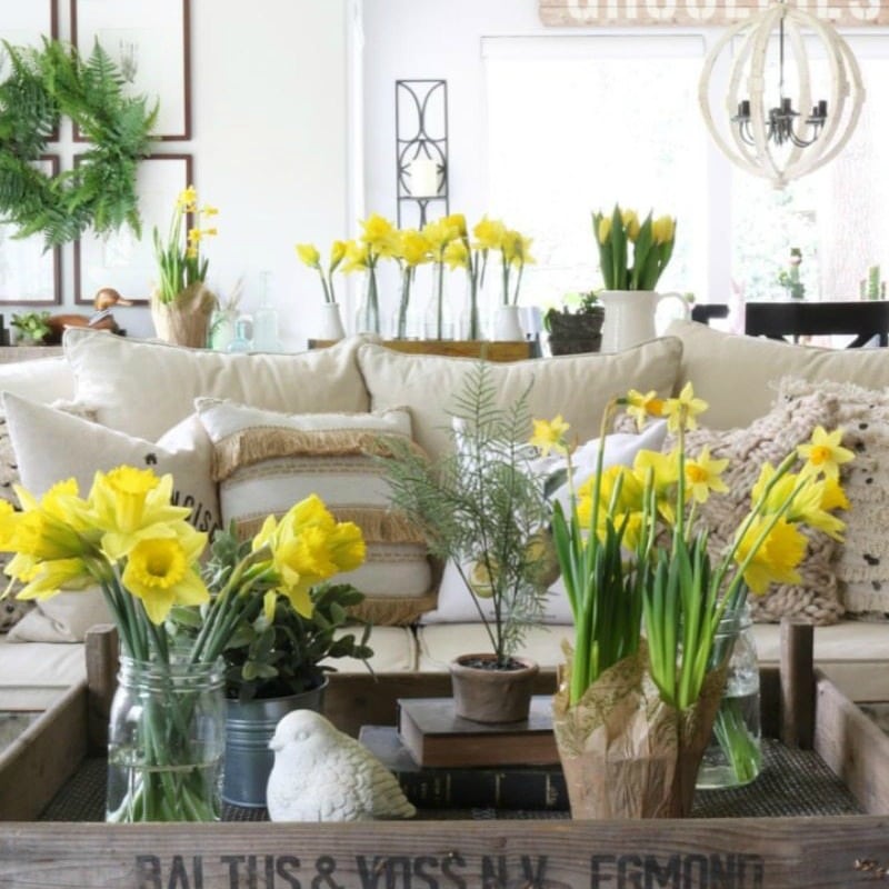 Flower Inspiration: Creative Tips for Decorating with Flowers