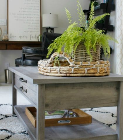 farmhouse style coffee table basket fern