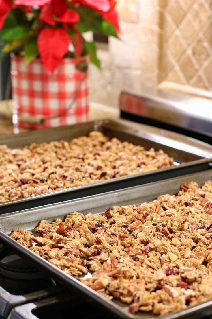 Crisp granola mixed with nuts and cranberries makes the best Christmas gift