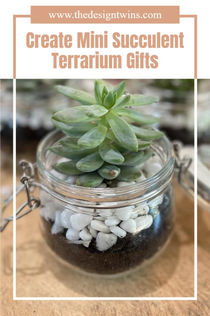 live succulent terrarium with white decorative rocks